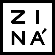 Zina.pro Favicon