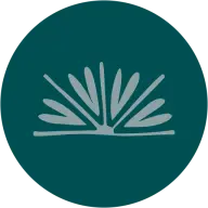 Zincksinn.com Logo