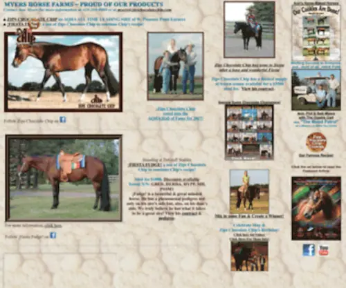 Zipschocolatechip.com(Quarter Horse AQHA Stallions) Screenshot