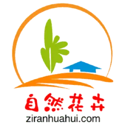 Ziranhuahui.com Logo
