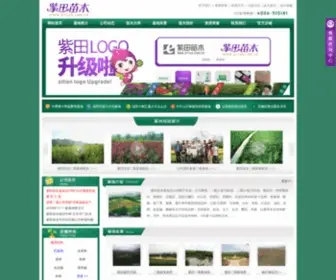 Zitian.com.cn(紫田农业) Screenshot