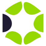 Zitrus.com.br Favicon