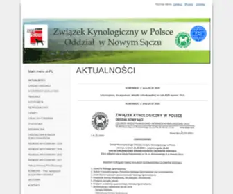 ZKWP-NS.pl(ZKwP Nowy Sącz) Screenshot