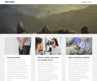 Znieczulenie.org.pl(Znieczulenie) Screenshot
