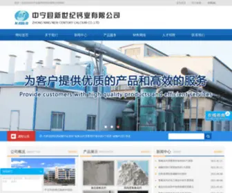 ZNXXSJ.com(中宁县新世纪钙业有限公司) Screenshot