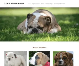 Zoes-Boxerbarn.com(Zoes Boxer Barn) Screenshot