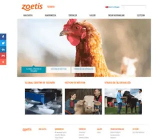 Zoetis.com.tr(Zoetis Türkiye Anasayfa) Screenshot