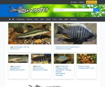 Zoopet.com(Allt om akvarium och akvariefiskar) Screenshot