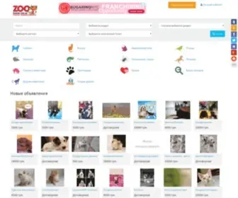 Zoorinok.com.ua(Зоорынок) Screenshot