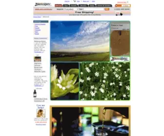 Zooscape.com(Escape to) Screenshot