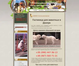 Zooveter.com(Ветер) Screenshot