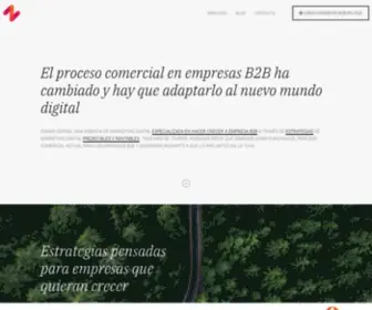 Zoping.es(Marketing digital Pamplona) Screenshot