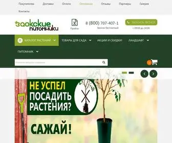 Zpitomniki.ru(Заокские питомники растений) Screenshot