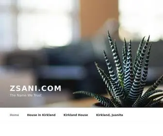 Zsani.com(The Name We Trust) Screenshot