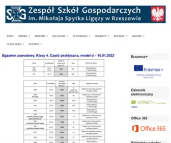 ZSGrzeszow.pl(Zespół) Screenshot