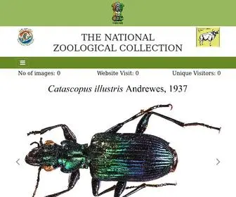 Zsicollections.in(Zoological Survey Of India) Screenshot