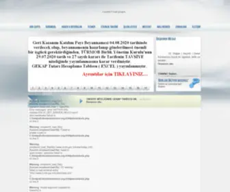 ZSMmmo.org.tr(Zonguldak) Screenshot