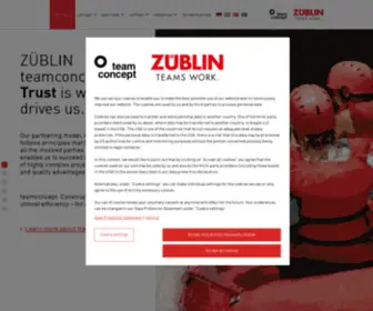 Zueblin-Teamconcept.de(TEAMCONCEPT ®) Screenshot