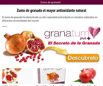 Zumodegranada.com(Zumo de granada ¡Toda la información aquí) Screenshot