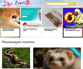 Zveri.guru(информационный сайт) Screenshot