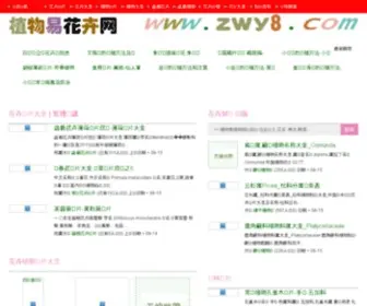 ZWY8.com(zwy8) Screenshot