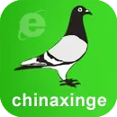 ZXW.com Favicon