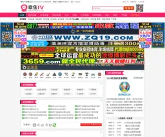 ZY29.com Screenshot