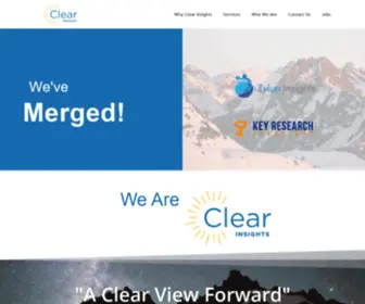 Zyluninsights.com(Clear Insights Group) Screenshot