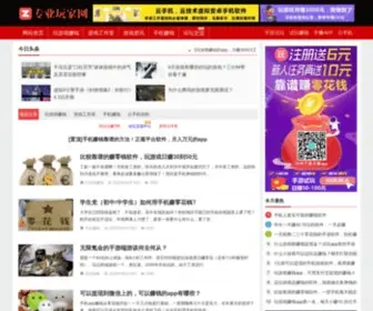 ZYWJW.com(专业玩家网) Screenshot