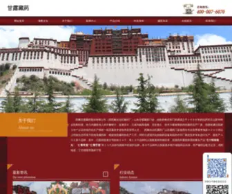 ZYY96.com(西藏自治区藏药厂甘露藏医门诊) Screenshot