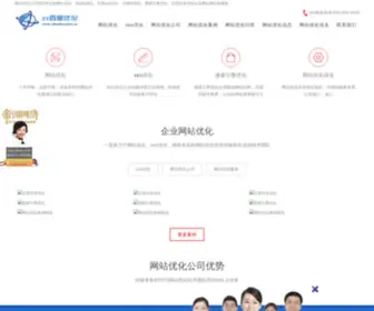 ZZbaiduyouhua.cn(网站Seo优化公司) Screenshot